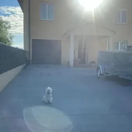 Spacieuse A Avec Piscine Privee *